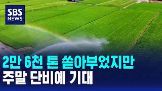 26,000 Tons Poured, But Still Relying on Weekend Rain / SBS