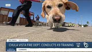 Chula Vista Fire Department hosts annual K-9 recertification training