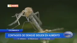 Cajamarca: contagios de dengue siguen en aumento