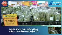 DBKT: KÍCH CẦU BỀN VỮNG BẰNG THƯƠNG MẠI ĐIỆN TỬ