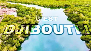 🇩🇯 C’EST DJIBOUTI ! À la découverte des mangroves de Godoria 🌿🌊 | Obock
