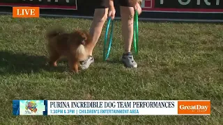 Purina Incredible Dog Team Brings High-Flying Fun to Great Forest Park Balloon Race