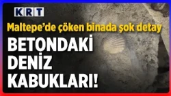 Seashells Found in the Concrete of the Collapsed Building in Maltepe!