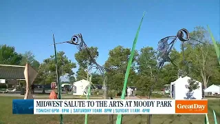 Midwest Salute to the Arts at Moody Park
