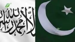 د افغانستان په ناامنۍ سره به مرکزي او جنوبي اسیا ناامنه کيږي