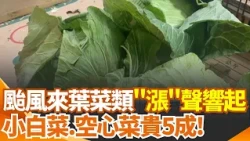 Only 2 Leaves for $30 Cabbage! Are Vegetable Prices Skyrocketing Before the Typhoon? A Whole Cabb...