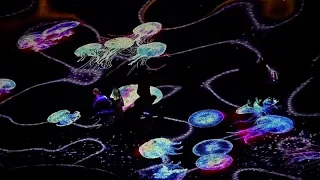 Bulgaria ilumina la costa del mar Negro con un festival de arte digital
