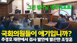 Cho Jung-hoon, lashing out at Choo Kyung-ho's trial: "Are lawmakers babies?"