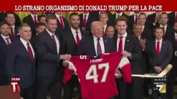 Il Board for peace di Donald Trump