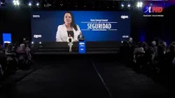 Surgen dudas sobre rol del Comisionado de Kast (26.02.2026)