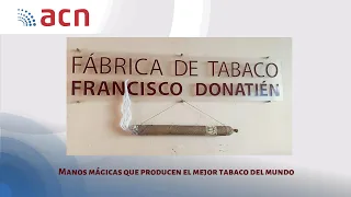 Manos mágicas que producen el mejor Habano del mundo