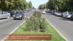 Consilierii AUR Vaslui cer eliberarea terenurilor municipale ocupate de garaje și redarea lor comuni Consilierii AUR Vaslui cer eliberarea terenurilor municipale ocupate de garaje și redarea lor comuni