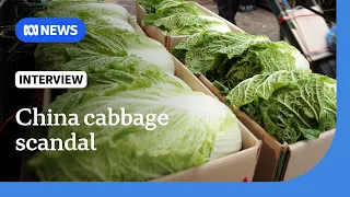 China probes reports cabbages were dipped in formaldehyde to stay fresh | The World | ABC News