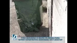 "Καμπανάκι" για τη νεανική παραβατικότητα από τον Π. Κεΐσογλου