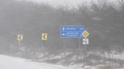 NO COMMENT | COD GALBEN ȘI PORTOCALIU DE NINSORI ÎN REPUBLICA MOLDOVA