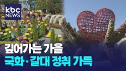 깊어가는 가을...국화·갈대 정취 가득 / KBC뉴스