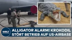 FLORIDA: Was für ein Schreck! Alligator-Ausflug endet auf Landebahn eines US-Luftwaffenstützpunktes