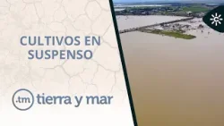 Tierra y mar | Programa 1608 Tierra y mar | Programa 1608