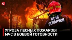 Отошла на секунду – ДОМ СГОРЕЛ! | Угроза лесных пожаров! МЧС наготове | Чем опасен пал травы?