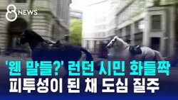 '웬 말들이?' 런던 시민 화들짝…도심서 피투성이 된 채 질주 / SBS 8뉴스