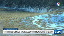 El sargazo amenaza con cubrir las playas | Emisión Estelar SIN