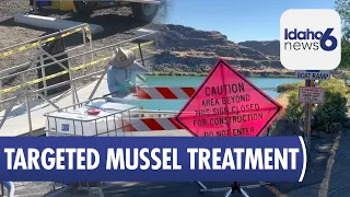 Snake River quagga mussel treatment to be more targeted in 2026