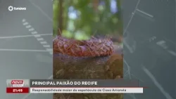 Comunidade de Casa Amarela prepara grande encenação da Paixão do Recife | #NovaGeral Comunidade de Casa Amarela prepara grande encenação da Paixão do Recife | #NovaGeral