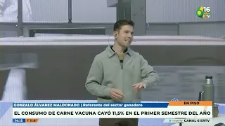 P6 Gonzalo Alvarez Maldonado Beef consumption fell 11.5% in the first half of the year