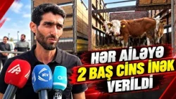 “Heyvanlar çox möhtəşəm, gözəl cins mallardır” – Ağdamda yenilik | APA TV