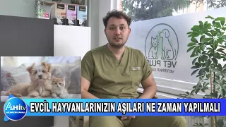 VETERİNER HEKİM BERAT YAĞMUR EVCİL HAYVANLARINIZIN AŞILARI NE ZAMAN YAPILMALI