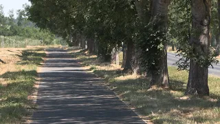 Kerékpárút köti össze Zalavárt és Sármelléket