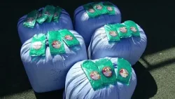 Tráfico de drogas frustrado en rutas del norte Tráfico de drogas frustrado en rutas del norte