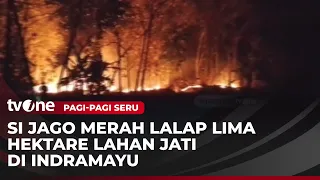 Tim Gabungan Berhasil Padamkan Kebakaran Lahan Jati di Indramayu | Pagi-Pagi Seru