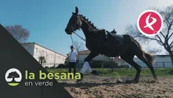Profesionales del caballo | El campo es vida Profesionales del caballo | El campo es vida