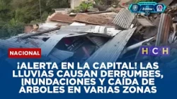 ¡Alerta en la capital! Las lluvias causan derrumbes, inundaciones y caída de árboles en varias zonas