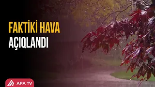 Bu ərazilərə dolu düşdü | APA TV
