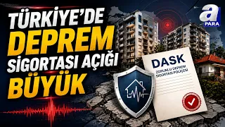 Turkey's DASK Map Revealed! 42% of Homes Lack Mandatory Earthquake Insurance