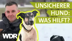 Angst und Panik: Das Vertrauen zum Hund langfristig aufbauen | Hunde verstehen | S07/E03 | WDR