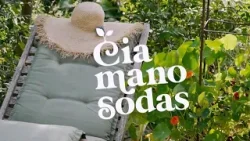 Čia mano sodas | 2026-01-04 Čia mano sodas | 2026-01-04