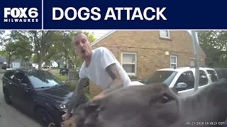 2 dogs terrorize Milwaukee neighborhood; people bitten, other dog killed | FOX6 News Milwaukee