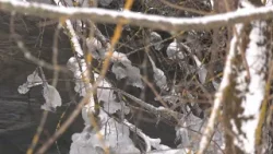 Slovenský raj – znečistenie vôd