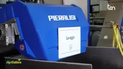 AGRICULTURA 17 gennaio 2026