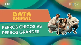 Small Dogs vs. Big Dogs: Debunking Myths - Data Animal