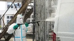 Κύπρος: Εμβολιασμοί και ψεκασμοί για τον περιορισμό του αφθώδους πυρετού