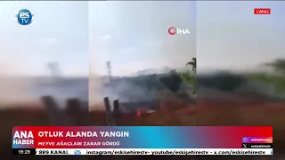 Otluk alanda yangın