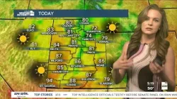 Ожидается еще более теплая погода — четверг, 19 марта.