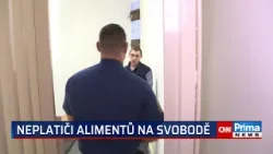 Stovky vězňů míří předčasně na svobodu, dalším se zkrátí tresty. Může za to změna zákona