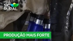 Governo de Rondônia reativa Câmara Setorial do Leite