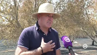 NOVA - BRISKA GORA U PEPELU: POŽAR UNIŠTIO DECENIJE TRUDA, Aleksandra Despotović