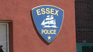 Essex sees wave of overnight car break-ins